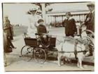 Newgate Promenade Goat Cart 1912[Photo]